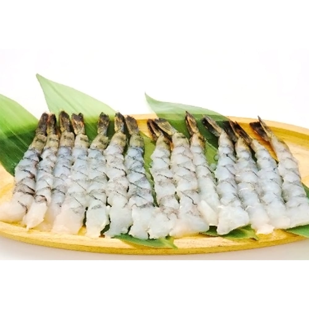 ǯòʡۿФϷ ֥å 13/15  308g(14)