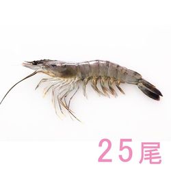 �֥�å�����������Ϸ ͭƬ�֥��å�25��/1.3kg 