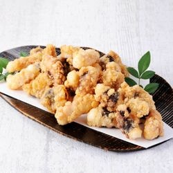 ケース販売】日本食研 から揚げの素 NO.1 2kg×10パック | 粉類,から