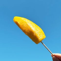 ڤ20OFFۥ饤եա ޥ󥴡ƥå40g50 