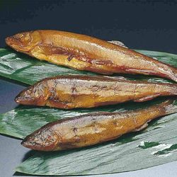 GFC Ϫ 30 ȯʤˤʤޤ 