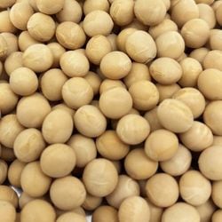 ���� �̳�ƻ�� ��γ������Ʀ ���� 30kg 