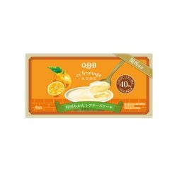 QBB ex'fromage KOBEͭĤߤ쥢4 62g4 