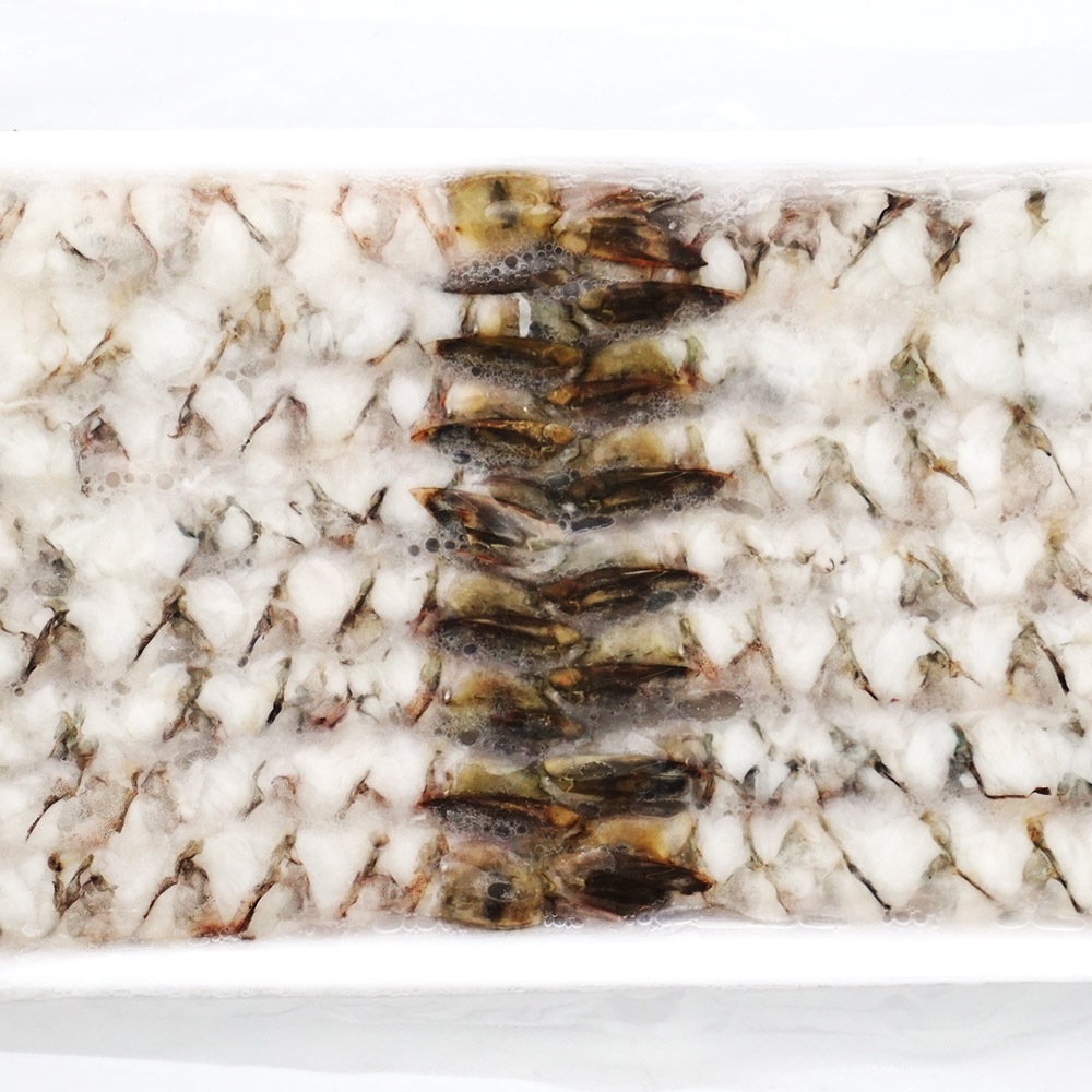 石光商事 伸ばしえび ブラックタイガー 16/20 248g(15尾) | 魚介類