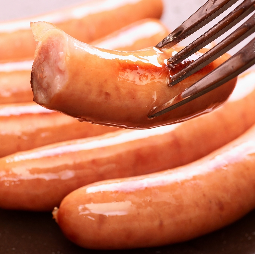 ソーセージ様 日東ベスト JG ブロッシェンソーセージ60 1.5kg 60g×25本 | 肉・肉加工