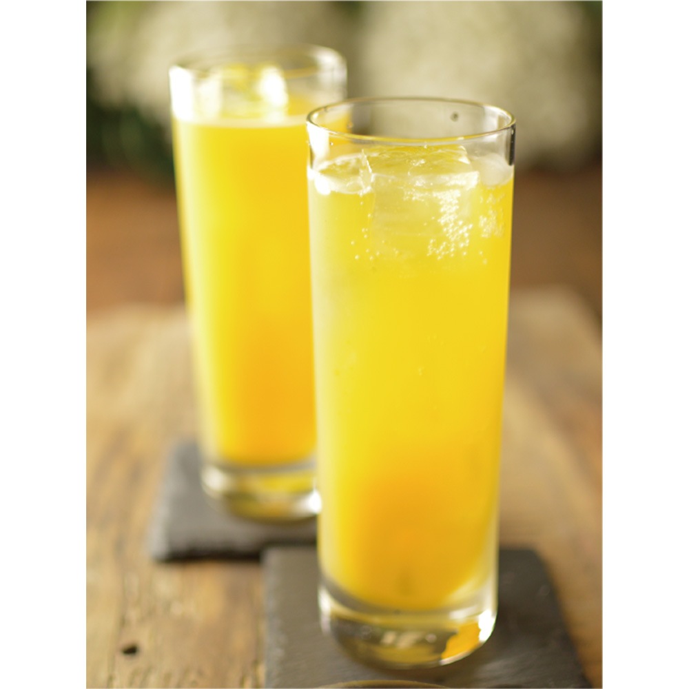 GSフード ウコンPLUS 栄養ドリンク 1000ml | 栄養補助食品,栄養