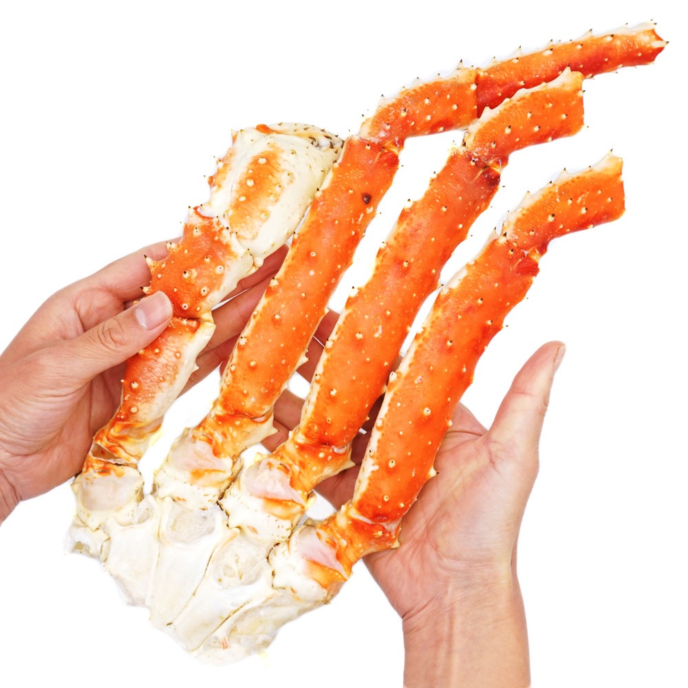 �ܥ��륿��Х��� ������ 4L �츪800g  