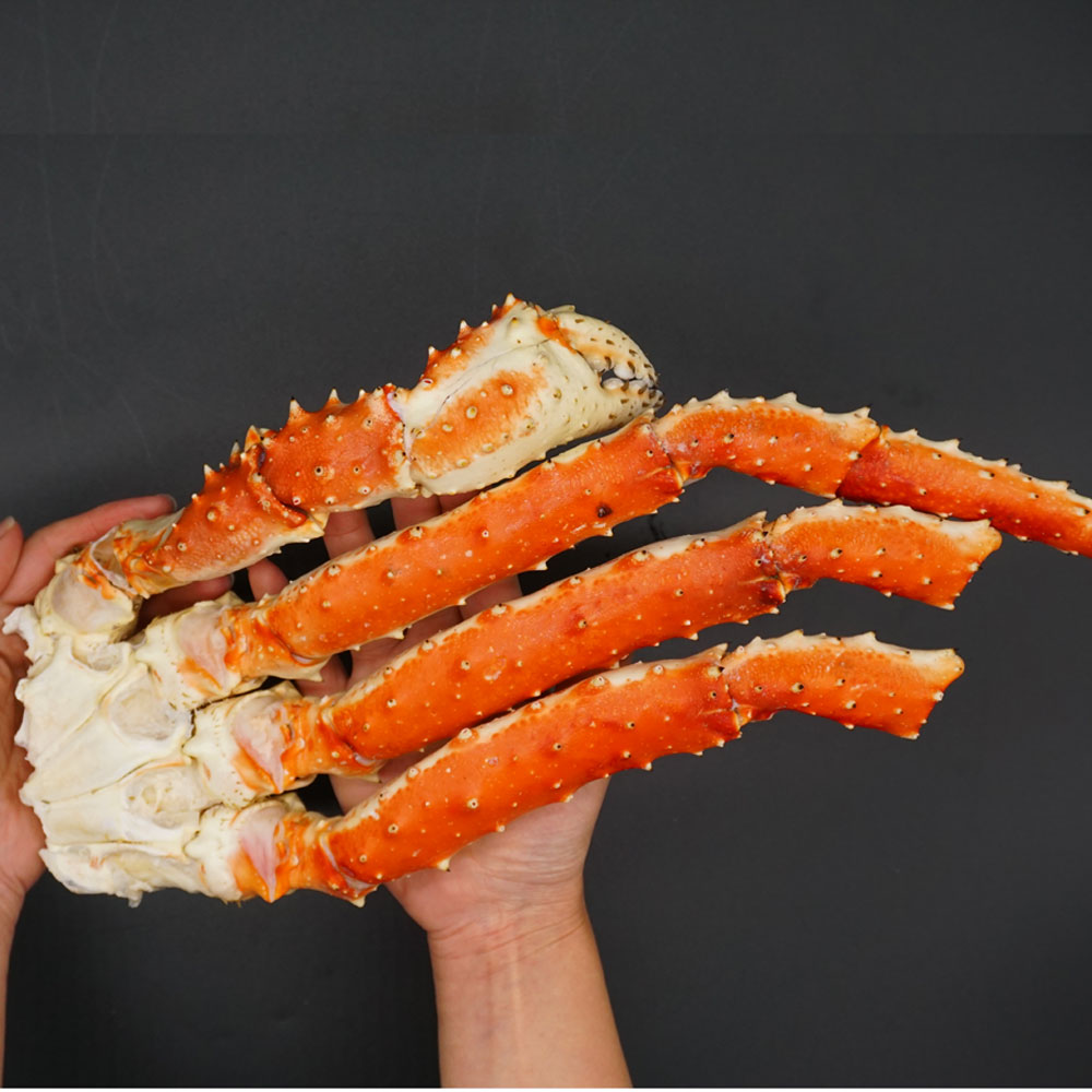 �ܥ��륿��Х��� ������ 4L �츪800g  