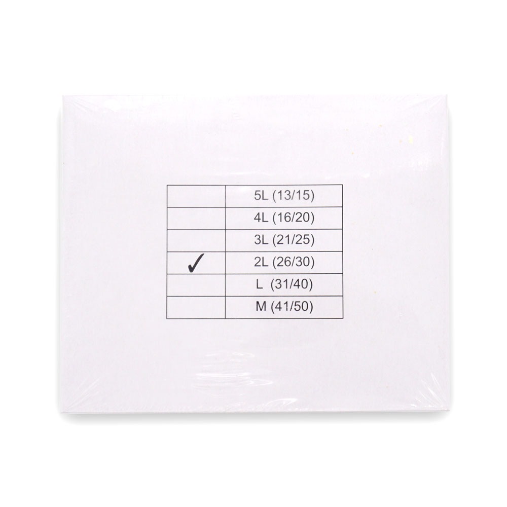 ���ȥ饹 �Хʥᥤ���ѳ�Ϸ�ե饤 2L������ 31���30������