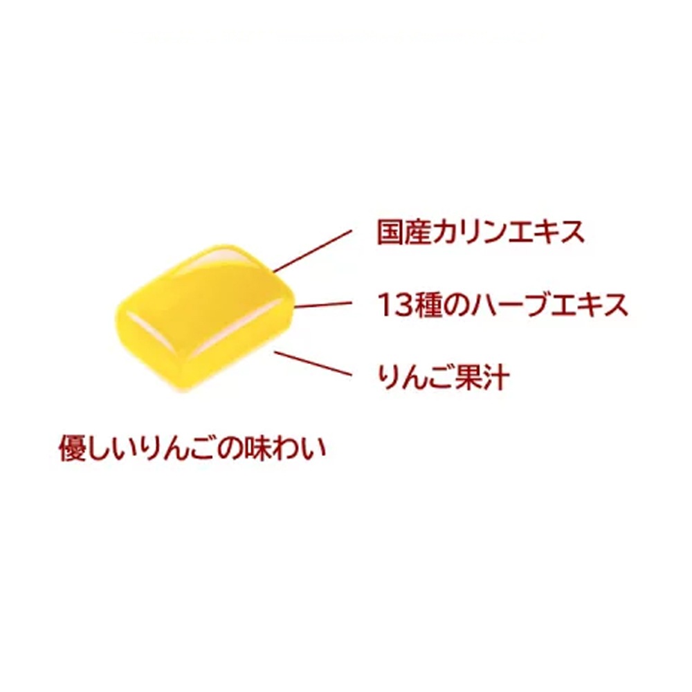 �ڥ���������ۥ��å� �ݥ�����󤴤Τɰ� �� 75g��20��