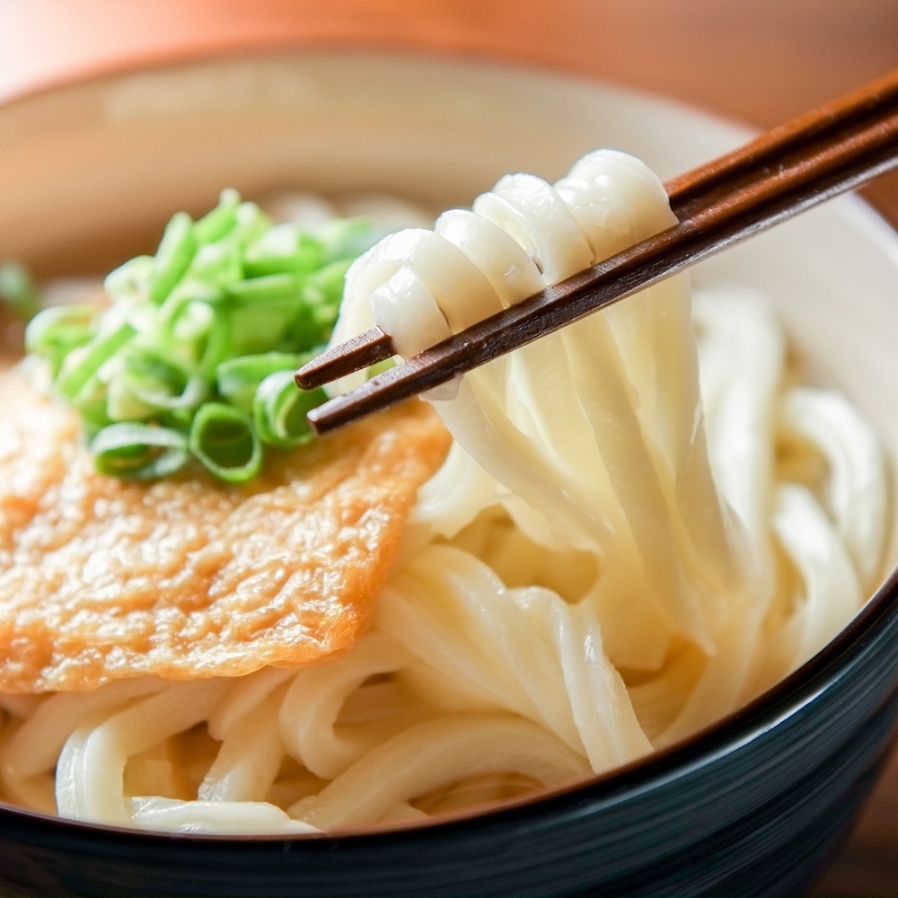 ﾔﾏﾋﾛ 【ケース販売】1A10本格極細うどん (230g×5×8pc) | 冷凍食品