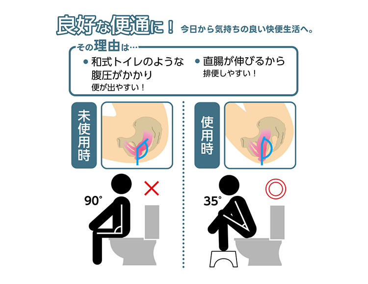 トイレ用 サポートステップ ミニ 耐荷重100kg