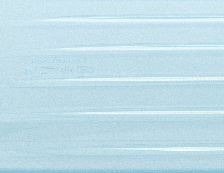 ロック&ロック フローズンコンテナ 保存容器 2.2L レンジ 食洗機 冷凍 対応