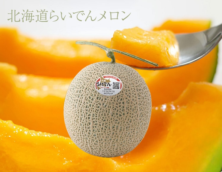 北海道らいでんメロン 1玉 ギフト
