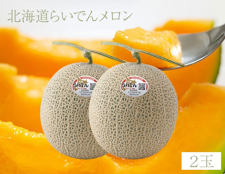 北海道らいでんメロン 2玉 ギフト