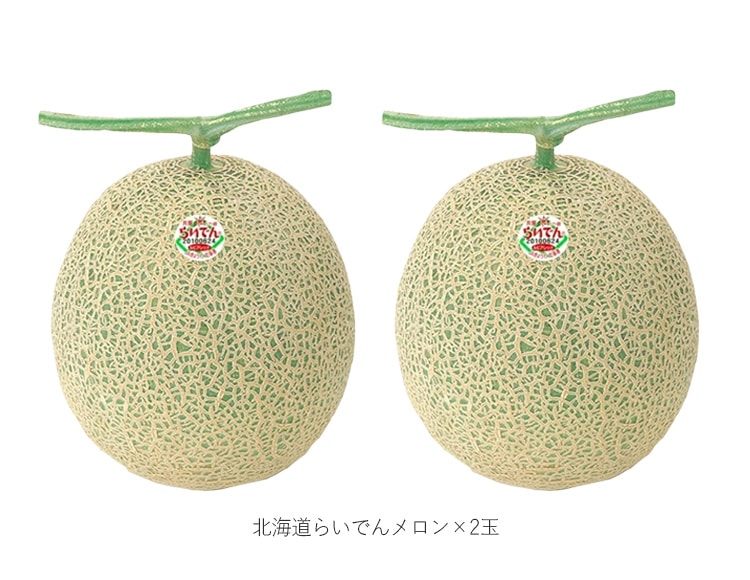 北海道らいでんメロン 2玉 ギフト