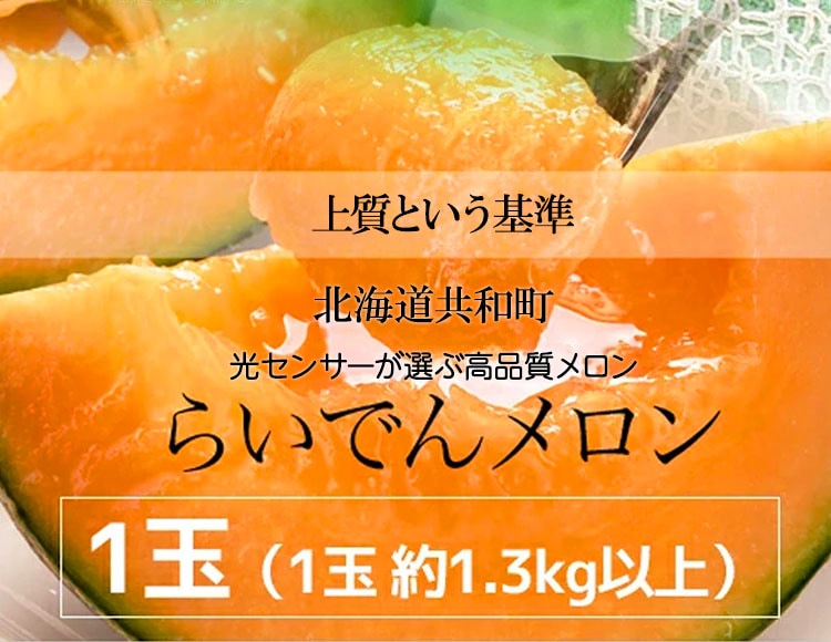北海道らいでんメロン 2玉 ギフト