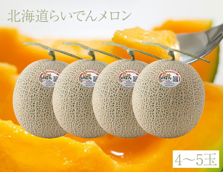 北海道らいでんメロン 4～5玉入り 1ケース