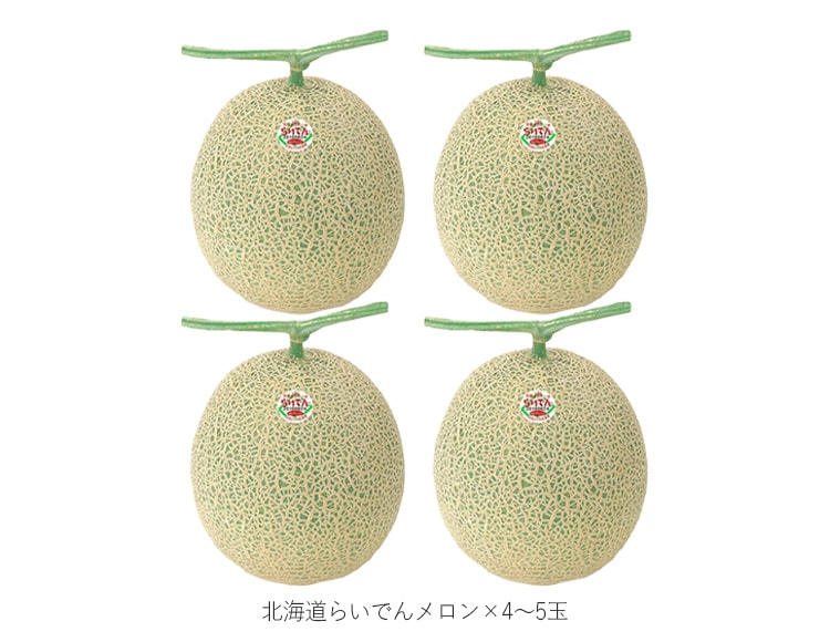 北海道らいでんメロン 4～5玉入り 1ケース