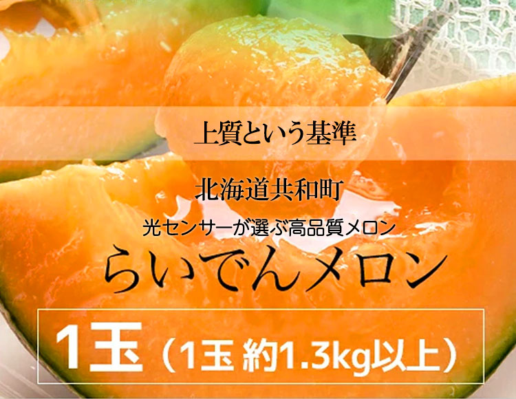 北海道らいでんメロン 4～5玉入り 1ケース