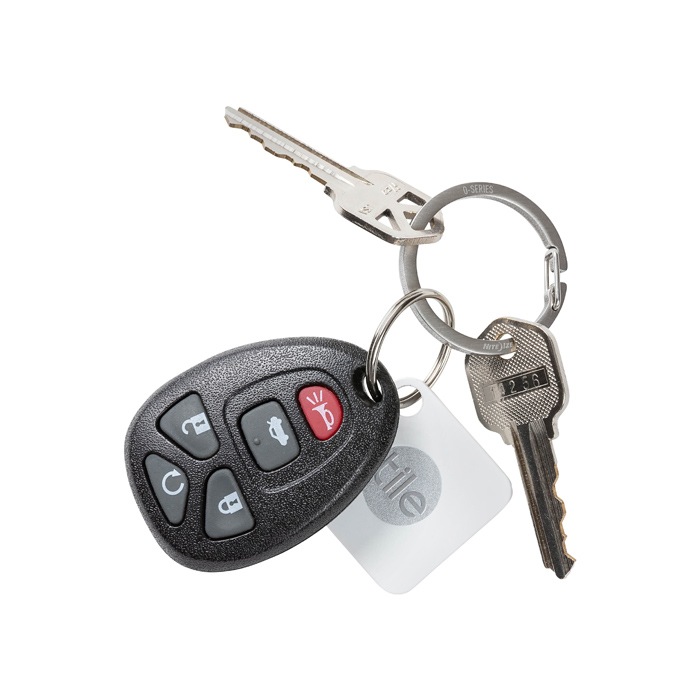 NITEIZE ナイトアイズ O(オー)キーリング 2個入り GATED KEY