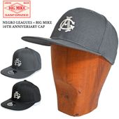BIG MIKE �ӥå��ޥ��� ����å� �˥����꡼�� Negro League ˹�� �֥�å� ���졼 10��ǯ����ܴ�� 102614801 ������������ꥫ�󡦥��㥤����� CA ��RCP��