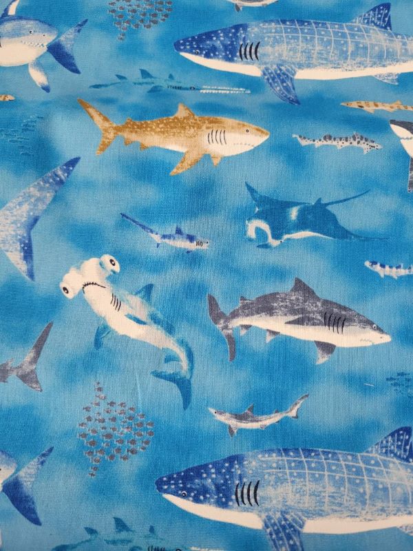 キッズランド　海の生き物　水色