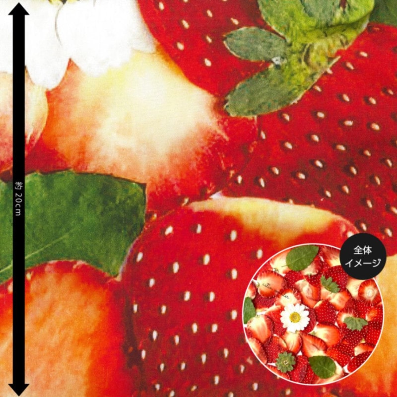 astin muhler アスティンムーラー いちご狩り気分 Lサイズ オックス インクジェットプリント