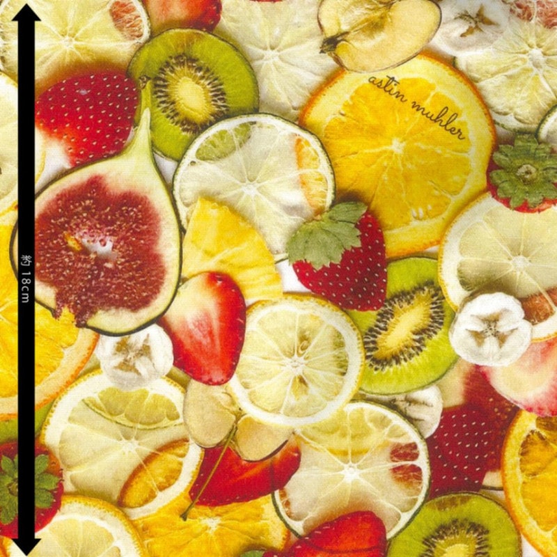 astin muhler 生地　アスティンムーラー フルーツミックス オックス インクジェットプリント