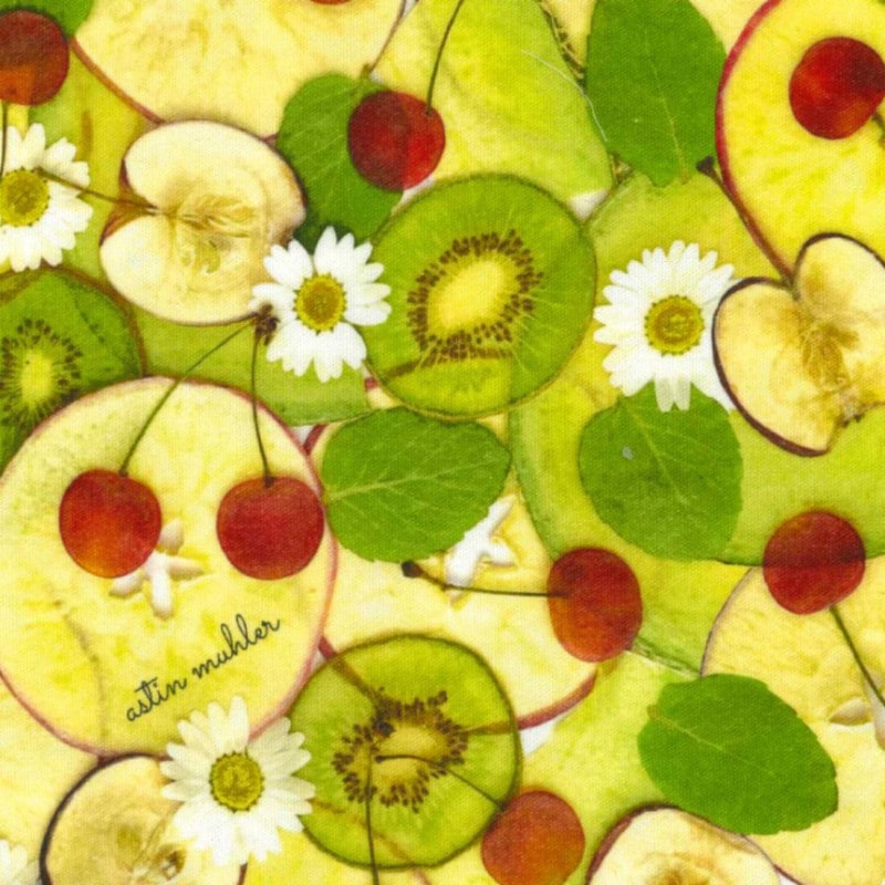 astin muhler　生地 チェリーミックス オックス（インクジェットプリント）