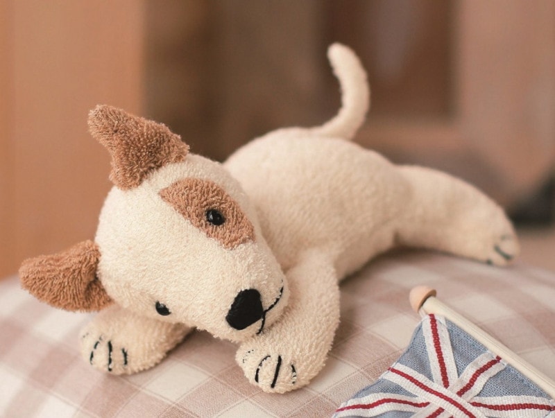 くたくたブルテリア　オーガニック　手芸キット　日本製　犬　手作り
