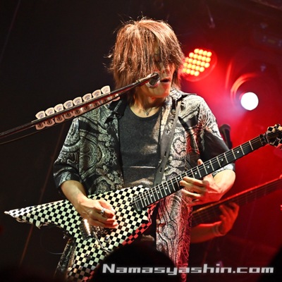 CLOSE【ライブ生写真】035