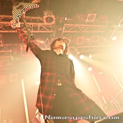 CLOSE【ライブ生写真】379