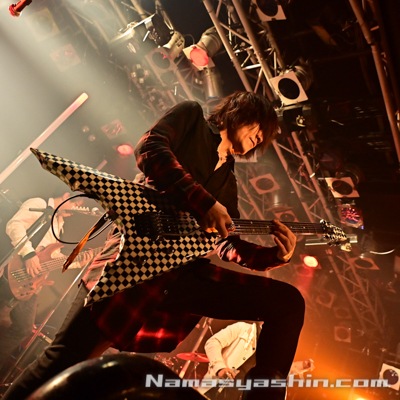 CLOSE【ライブ生写真】371