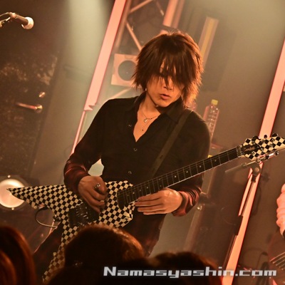 CLOSE【ライブ生写真】361