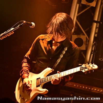 CLOSE【ライブ生写真】350