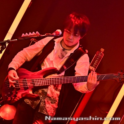 CLOSE【ライブ生写真】347