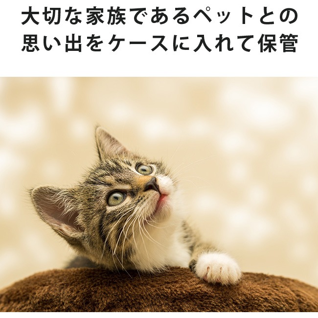 �ڥå��Ӷ̥�����