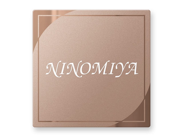 表札 門柱用 SIS-FBDR-N44 （105mm角／上下ネジ留めの取付金具付き／ブロンズステンレス） W105×H105mm