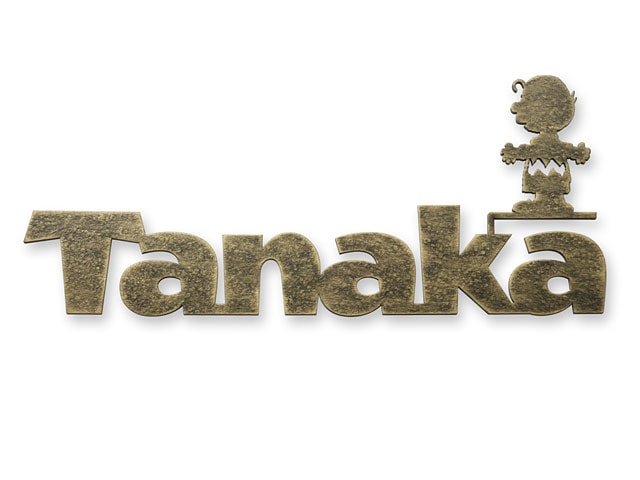 表札 スヌーピー  SPKMIR-VI-N6（アイアン調ピーナッツ表札／チャーリーブラウン）