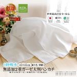 2ť եۥ磻 索եۥ磻ȥȽϥ󥫥3祻å 4545cm<br>ʤΥϥ󥫥 ɽȩͥ 100 ̵źáNuddy Cottonۿ»ѥϥ󥫥/֤Ȥϥ󥫥 ȥԡҴȩ