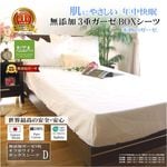 ߤäƤꡣפβ̲ȩͥ ̵źáNuddy Cottonۥܥå*֥륵14020030cm100%۴®OKۥȥԡҴȩˤ