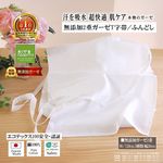 ڤεˤͥðۤεۿȩ̵ͥźáNuddy CottonۥդɤTôۥȥԡҴȩˤ