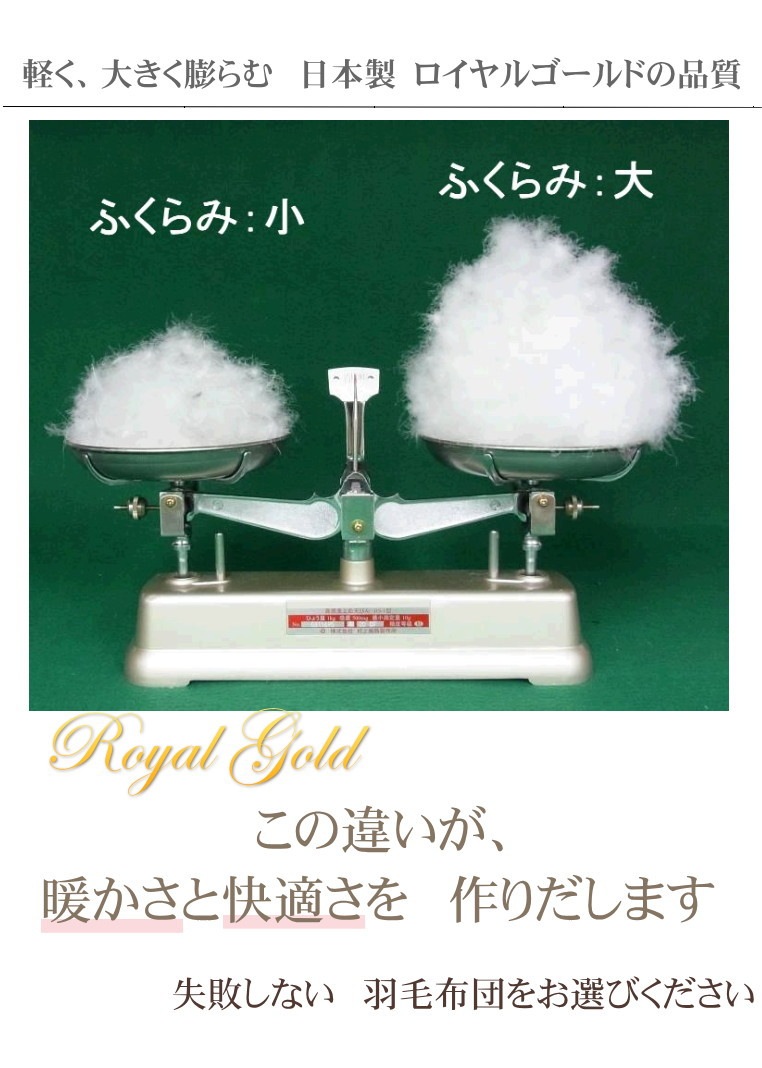 �ڥ�����르����ɥ�٥�۾����ڸ��ꡪĶĹ��100�������걩������*�٥ӡ���������95��120�ۥ磻�ȥ�����������90�����������