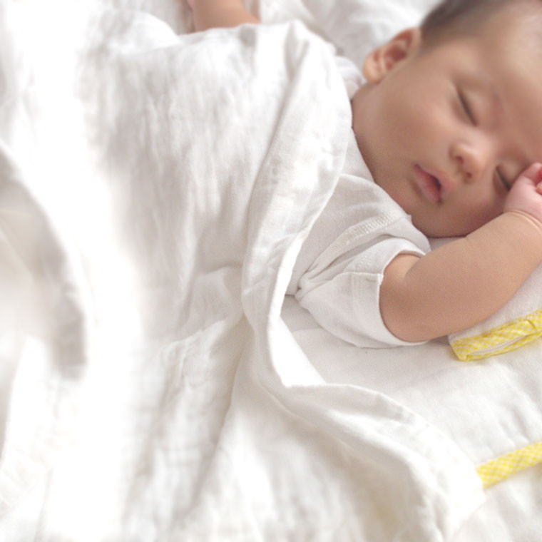 ̵ź�á�Nuddy Cotton�ۥ�����6��Ť������ѥå�<br>*2�祻�åȡ��������к���ȩ�Ӥ��к������֤��к��ˡ���������