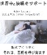 2�ť�����ȾµȾ���ܥ�ѥ���� �֥롼��ǻ��(�ͥ��ӡ�)<br>�۴���¨�� ���餵�饬���� 2��Ť� ������ ȾµȾ���ܥ� ������ �ѥ���ޡڲ�����ʡ۴�����OK���������ۡڥʥ��ȥ������ۡڥ롼�०�������Ҵ�ȩ