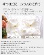 ھڶȾµѥ޻Ҷ100ȩͥ100̵źáNuddy Cottonۥեۥ磻ȾµҶ˥2ťѥ100.110.120.130.140 åҶѥѥޡ֥륬Ķ륮/ȥԡ