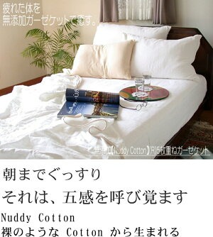 5ťå*֥190210cm<br>ȩ̵ͥźNuddy Cotton(R)۵۴® OK ȥԡкۡھڤΥåȡ