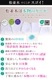 �ھ����ڤ�2�ť������ͥ��ꥸ�� �ʥ��ƥ������忴��ȴ����ȩ��ͥ�����١����� �ԥ� �֥롼 �֥饦�� 2�ť�����Ĺµ�����������ͥ��ꥸ��*�ե꡼��������������OK���۴���®������������