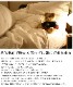 ߤϤäƤϤ ̵ͣβ̲ڤ롪ھڤߤѥå ġ̵źáNuddy Cottonۥ5Ť ߤѥå 掠ɥ١*󥰥100210cm륷̲® OKޥåȥ쥹ĥġڹ񻺡ۥȥԡҴȩˤ